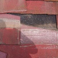 IMG_5641