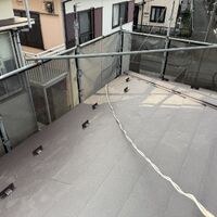IMG_4482 2